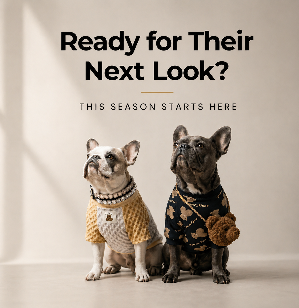 Two dogs wearing sweaters with text 'Ready for Their Next Look? This Season Starts Here' on a neutral background.